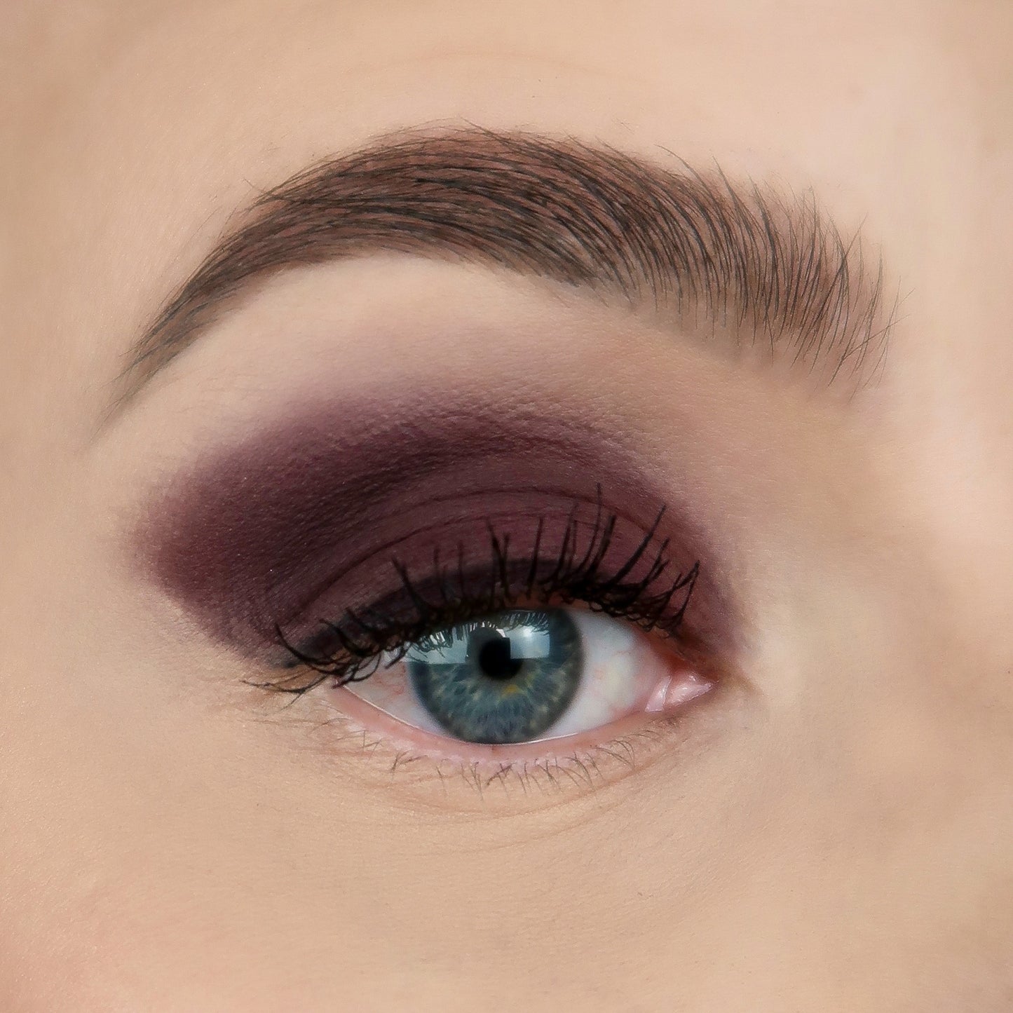 Eyeshadow 338