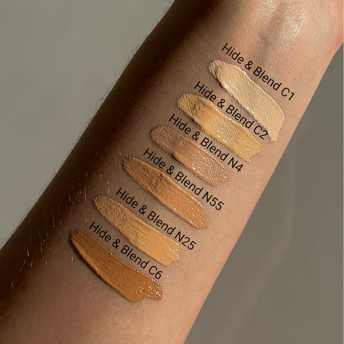 Hide & Blend Concealer N25